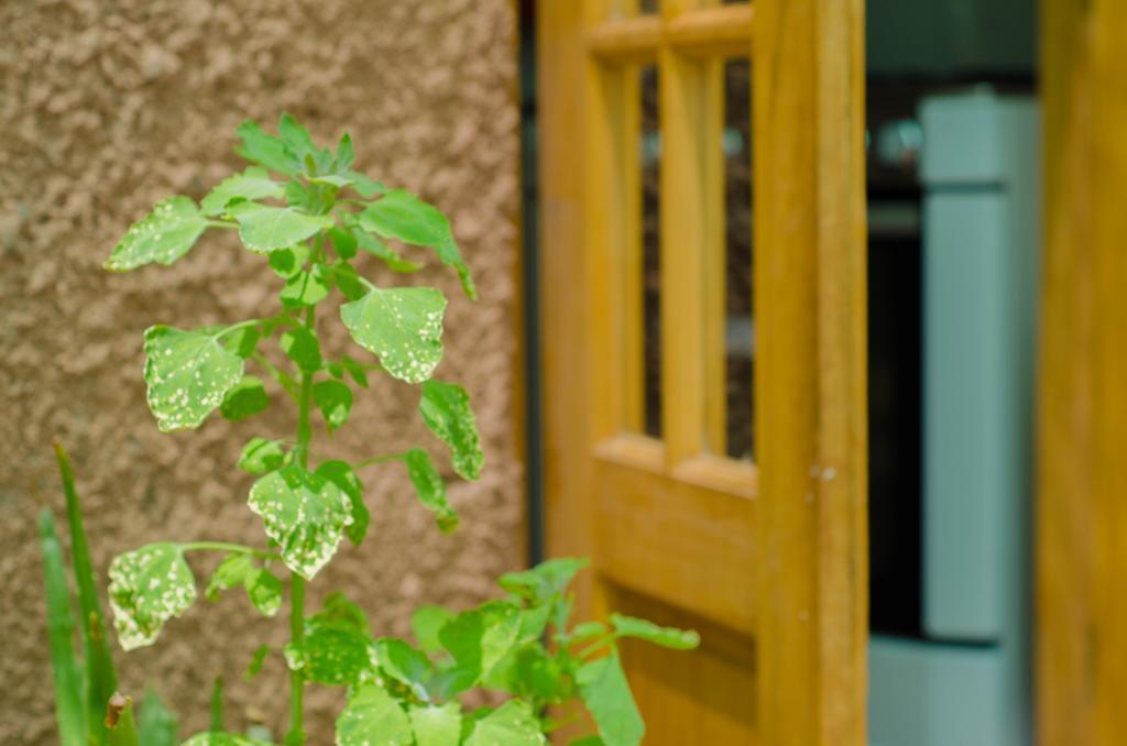 Hostal Alabalti San Pedro de Atacama Exterior foto